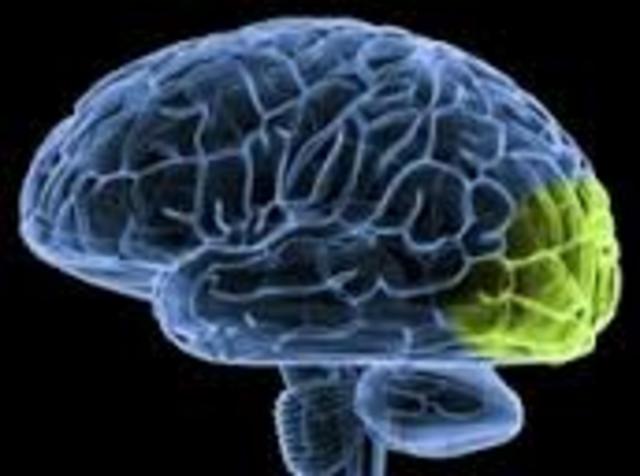 Alan Lloyd Hodking y Andrew Fielding Huxley