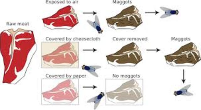 Generación Espontánea