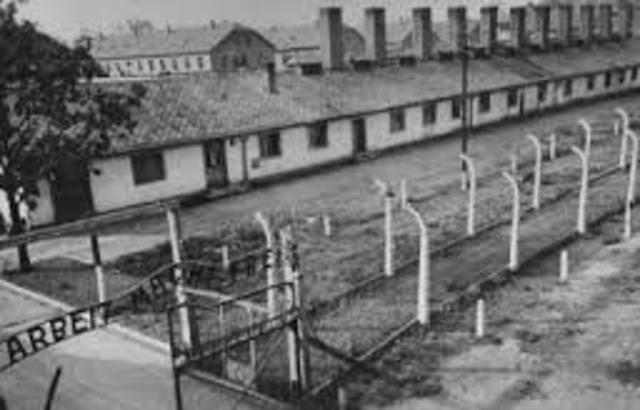 Nazis begin rounding up Jews for labor camps