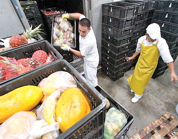 EL BANCO DE ALIMENTOS