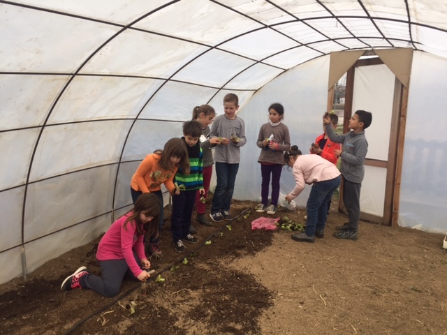 3r-C HEM PLANTAT A L'HIVERNACLE