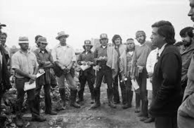 Chavez Joins the Labor Force