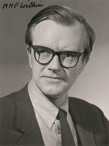 Maurice Wilkins