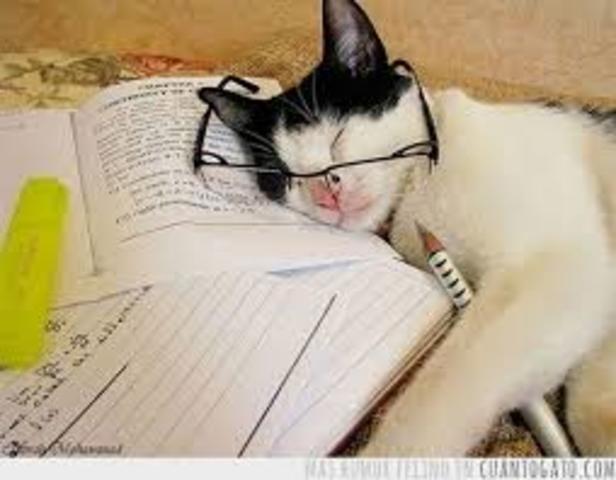 Nuevas Ténicas (Internacional)