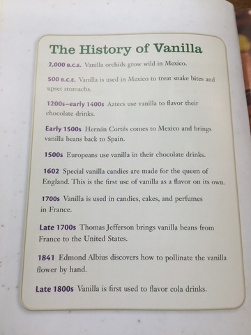 Vanilla