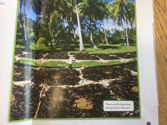 It starts with a bean