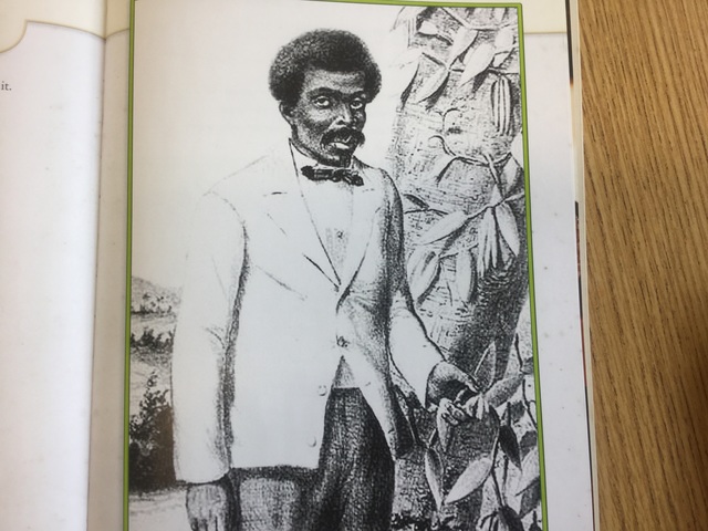 Why vanilla costs so much