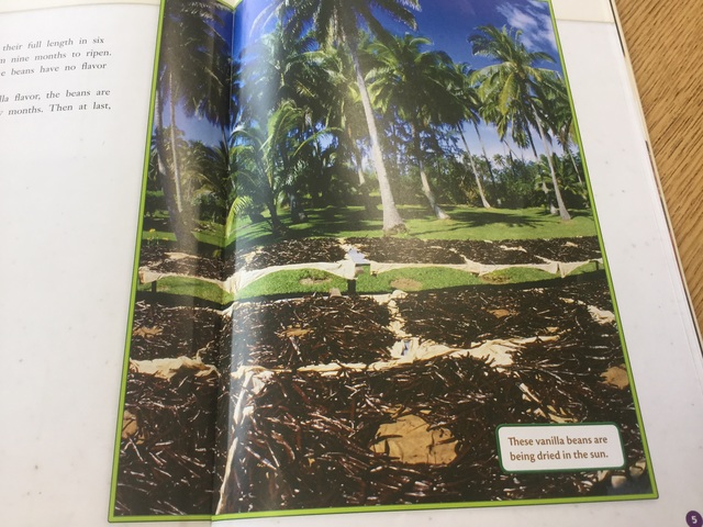 Why vanilla coat so much