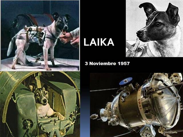 Sputnik 2 e la cagnetta Laika