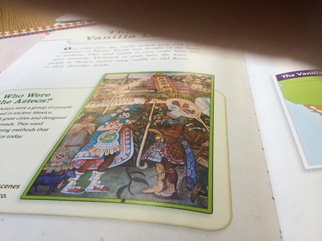 The first vanilla lovers