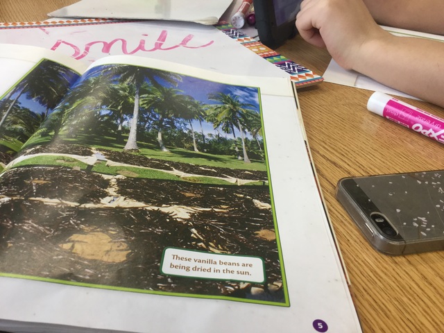 Vanilla travels to the united states