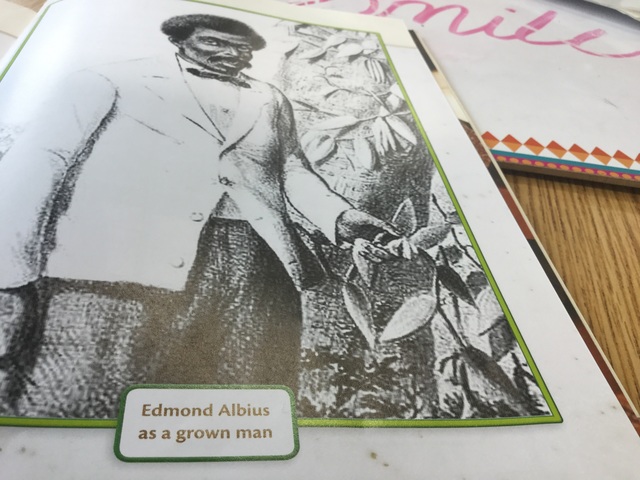 Why vanilla cost so much