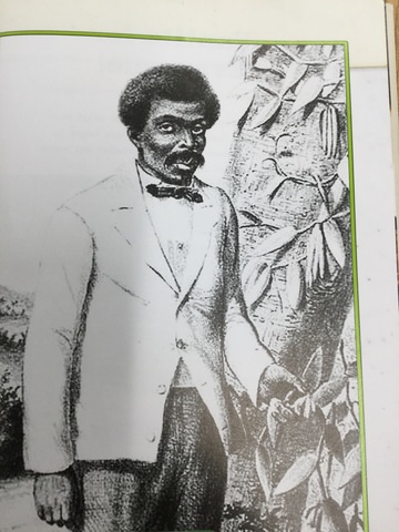 Why vanilla cost so much