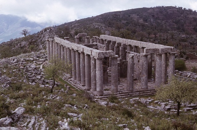 Temple of Apollo Epicurious (Greek)