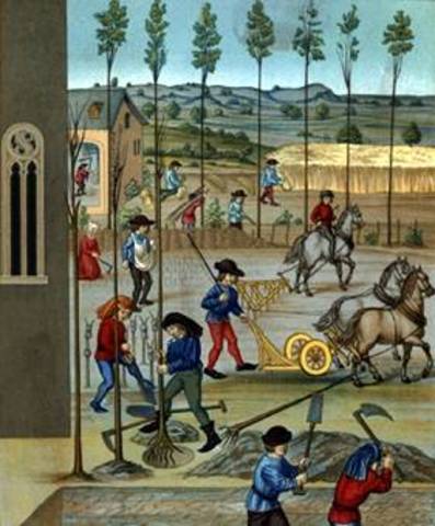 Memorias de la academia