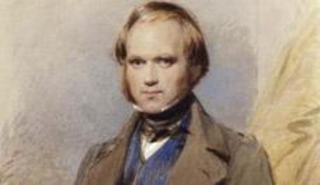 Etapa temprana de la vida