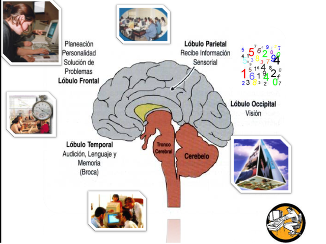John Locke (1632-1704)