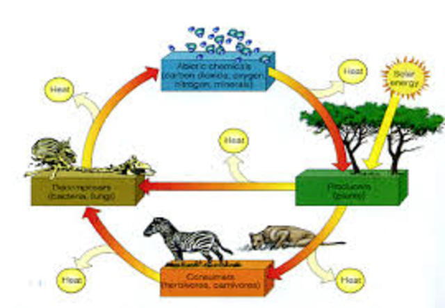 Edad Media 476 - 1492 - Procesos Ciclicos y La Naturaleza
