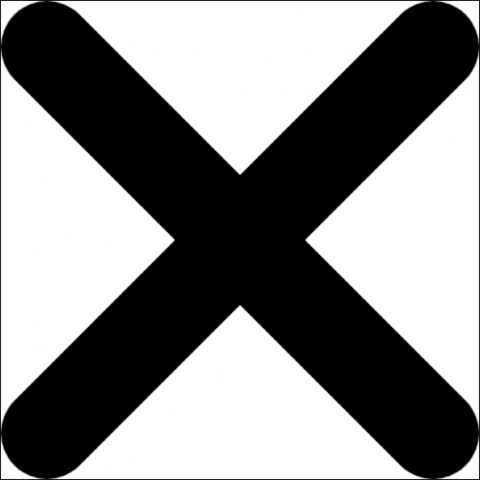 Meets Elijah Muhammad