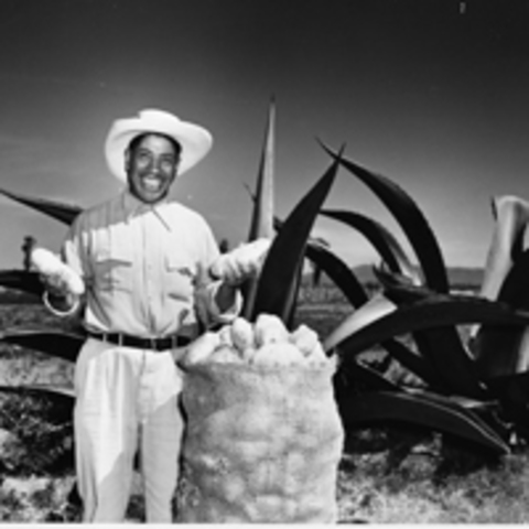 Rockefeller Foundation established in mexico