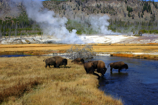Establishment of Yellowstone National Park