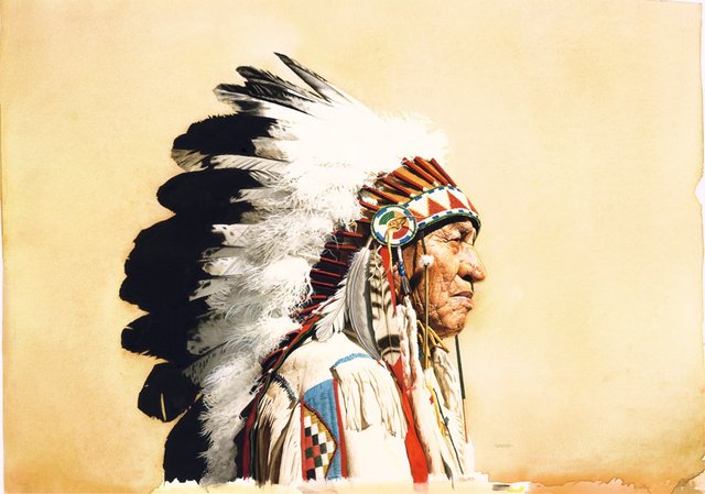 native amaricains tribes lived in north america