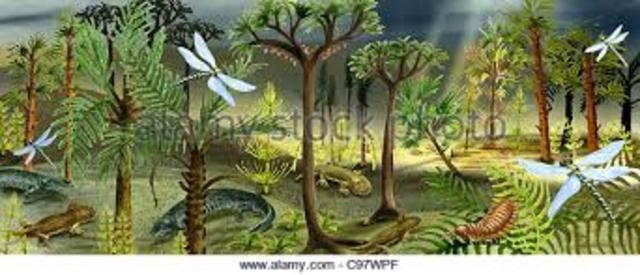 Carboniferous 345my-280my