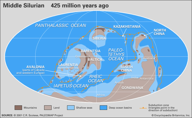 Silurian Period 435MYA-395MYA