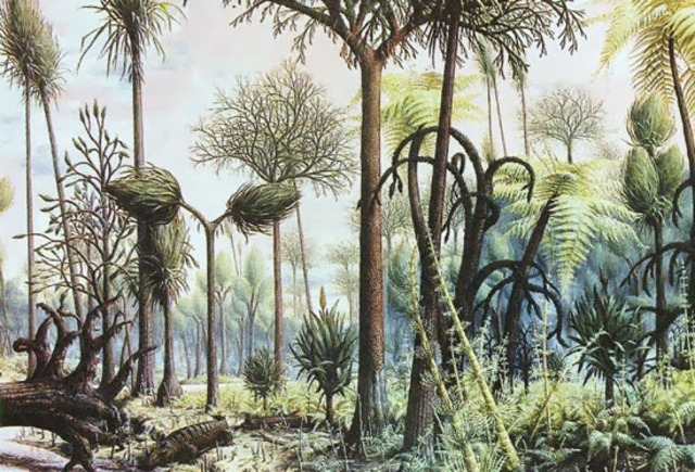 Carboniferous Period 345MYA-280MYA