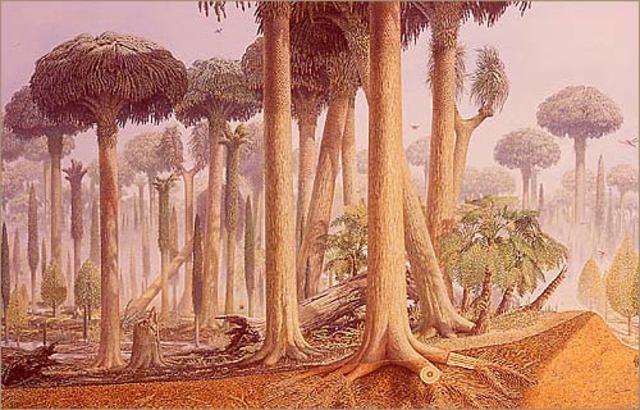 Carboniferous