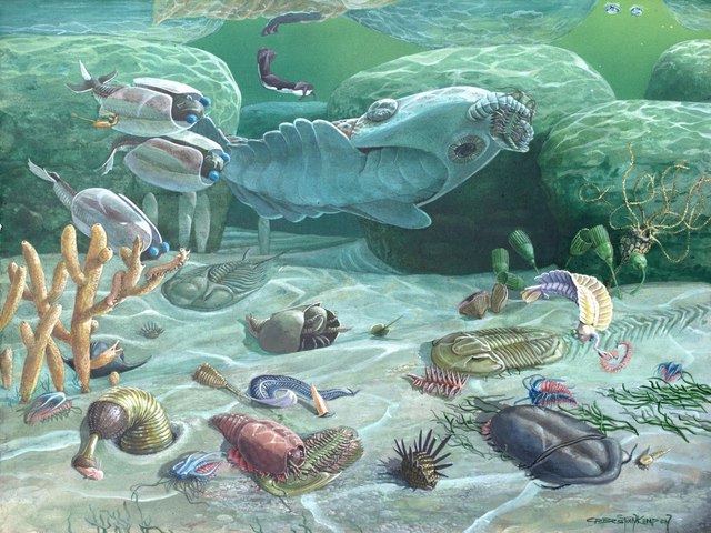 Cambrian 570-500MYA