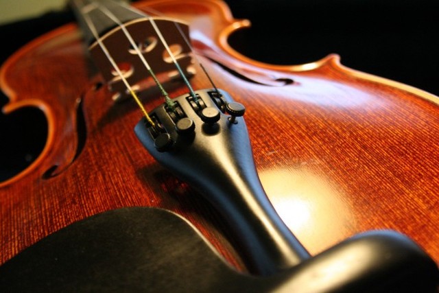 The violin
