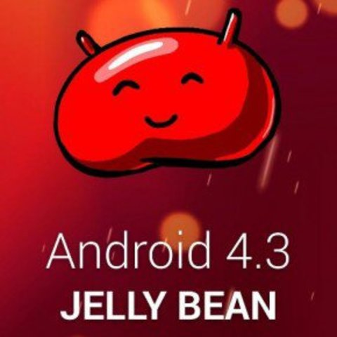 Android 4.3 Jelly Bean (Michel)
