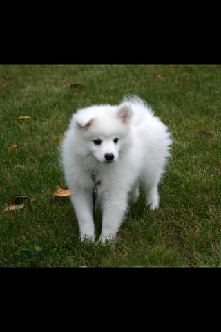 Luna enters the family!