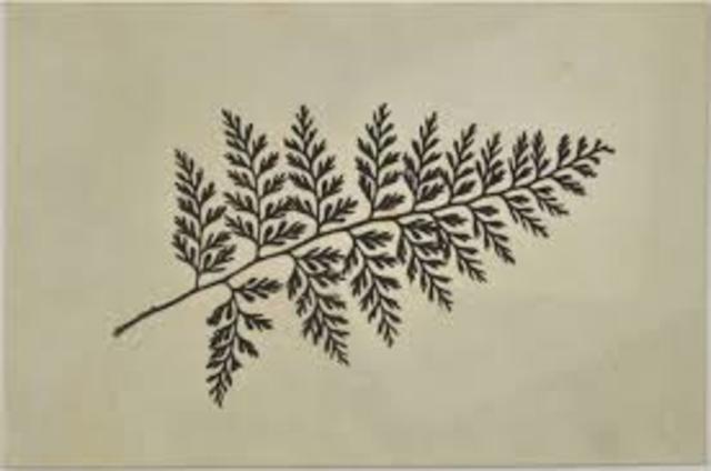 William Henry Fox Talbot