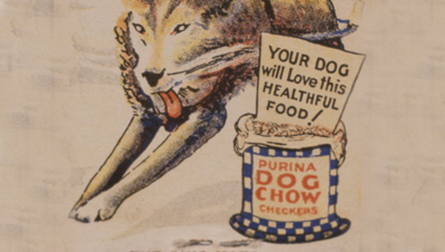 Purina Dog Chow Checkers