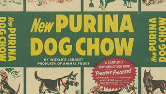 Purina Dog Chow