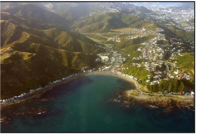 Visitting Owhiro Bay