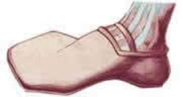 Calzado del Renacimiento