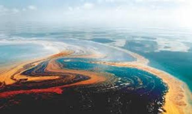 EVOLUCIONAN LOS PROCARIONTES