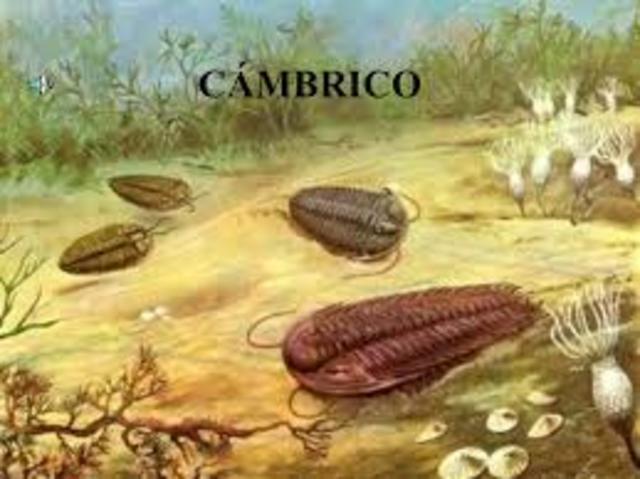 Comienza la explosión Cámbrica