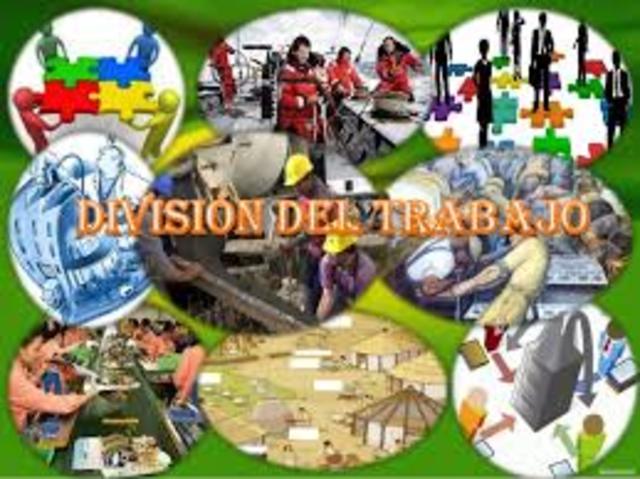 DIVISION DEL TRABAJO