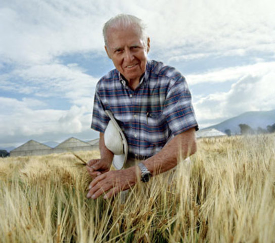 Norman Borlaug