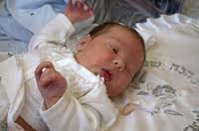 Brit Brat or Brit Milah