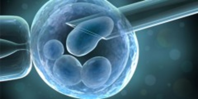 Primer embarazo artificial