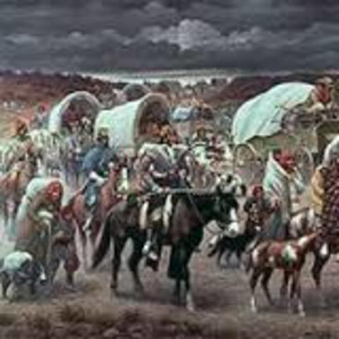 Indian Removal Act/Trail of Tears