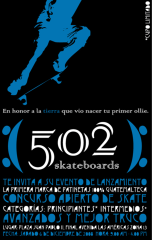 502 skateboards