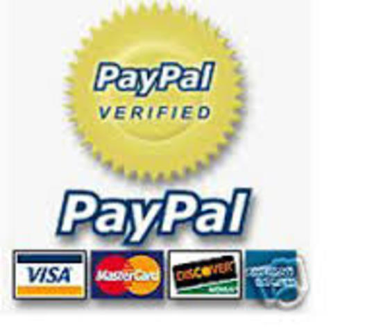 La popularisacion de Paypal hasta entonces...