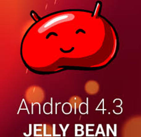 4.3 4.3 JELLY BEAN (MICHEL)