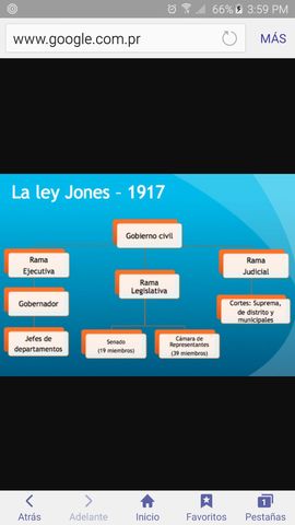 Ley Jones